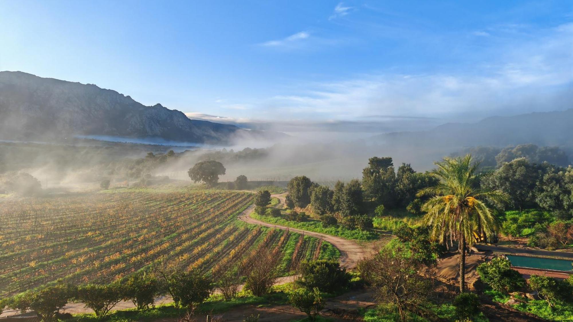 Le Hameau De Saparale Sartene  Bagian luar foto